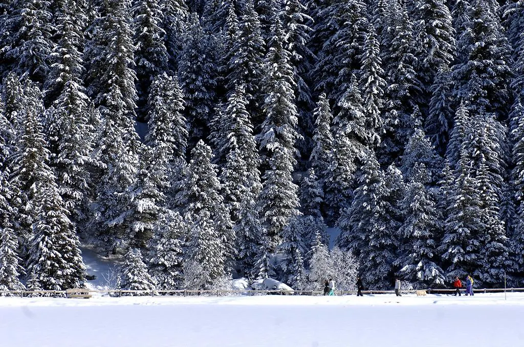 Hotel L'Helios Meribel 5*,  France